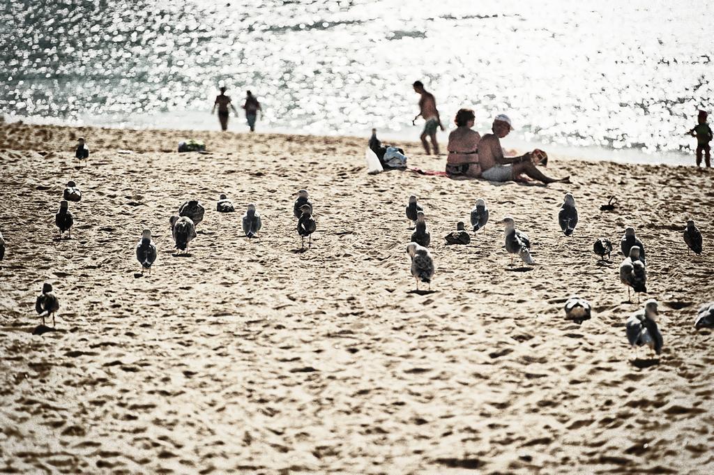 Rosamar Apartamentos Armação de Pêra Exterior foto